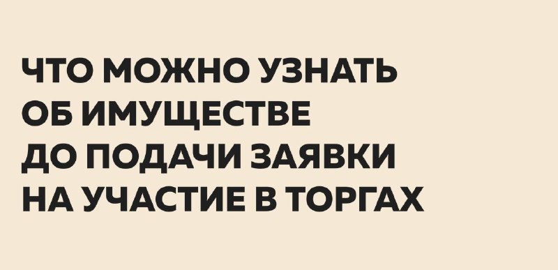 Что можно узнать об имуществе до подачи заявки на торгах по банкротству: 5 источников