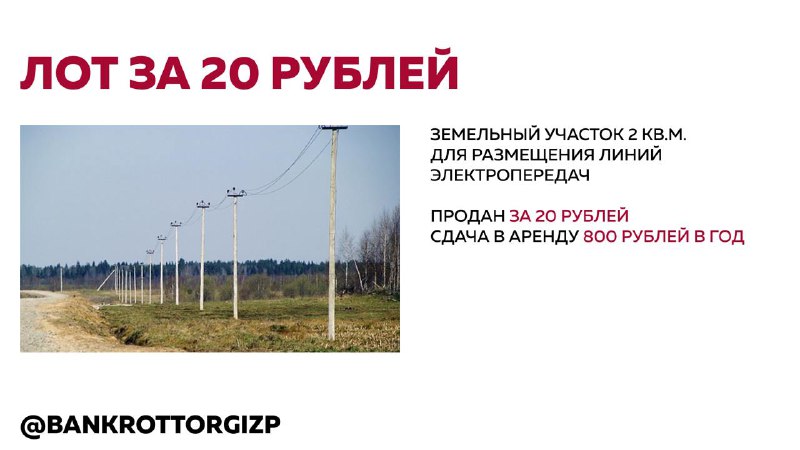 Кейс: лот за 20 рублей с доходностью 4000% годовых