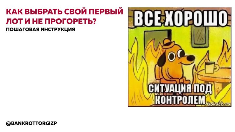 Как выбрать первый лот на торгах и не прогореть: четыре шага